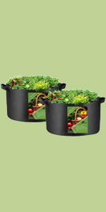 Big Grow Bags