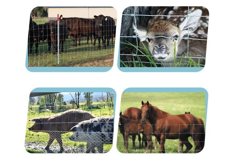 T Post 6ft Cattle Fence , 100m Long Farm Mesh Fencing