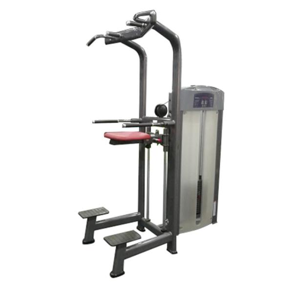 Life fitness gym workout equipment,assist dip chin exercise machine with wooden