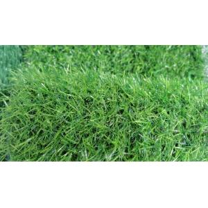 Buy cheap High quality turf cheap garden carpet grass for landscaping product