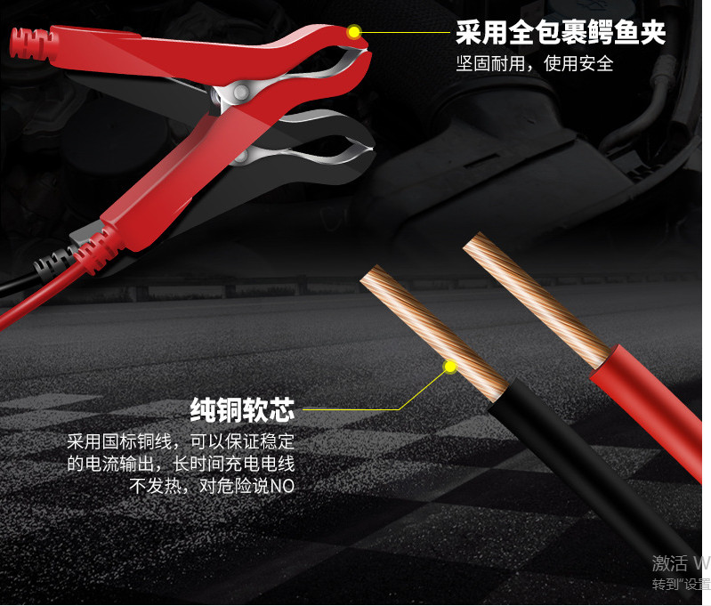 Lead Acid 10AH 200AH Intelligent Car Battery Charger