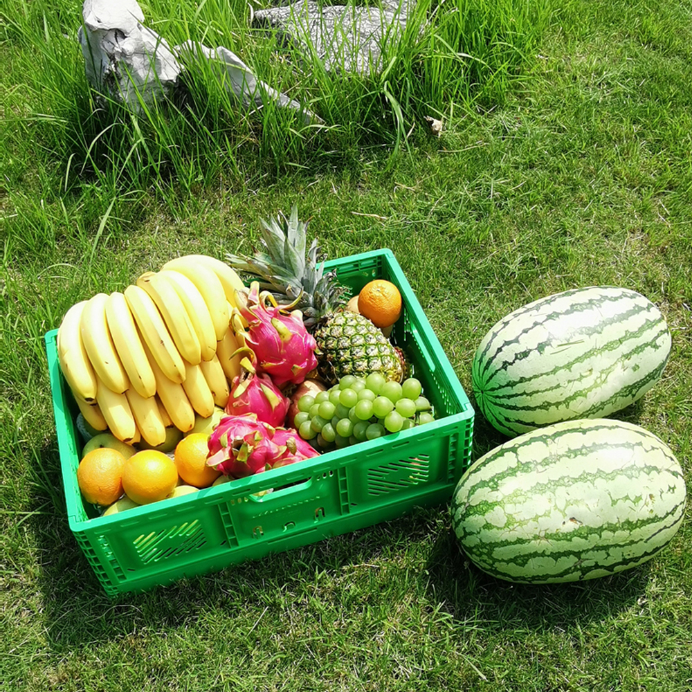 Foldable Mesh Crates For Vegetable Collapsible Plastic Shipping Crates 600x400x52mm