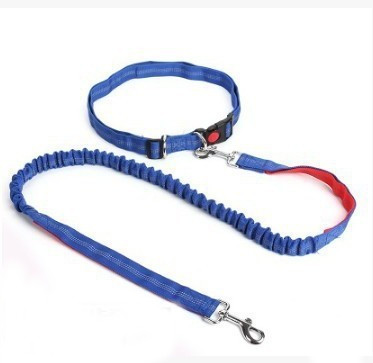 dog lead around waist 