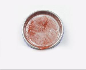 Buy cheap 2K Acrylic Lacquer Auto Paint Iron Red Bright Color Spray 0.5L 1L 2L 4L product
