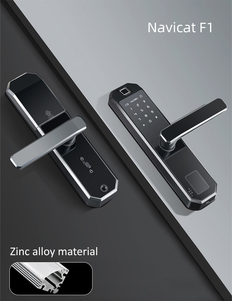 Damp Proof Fingerprint Smart Door Lock Size 20mm For Apartment