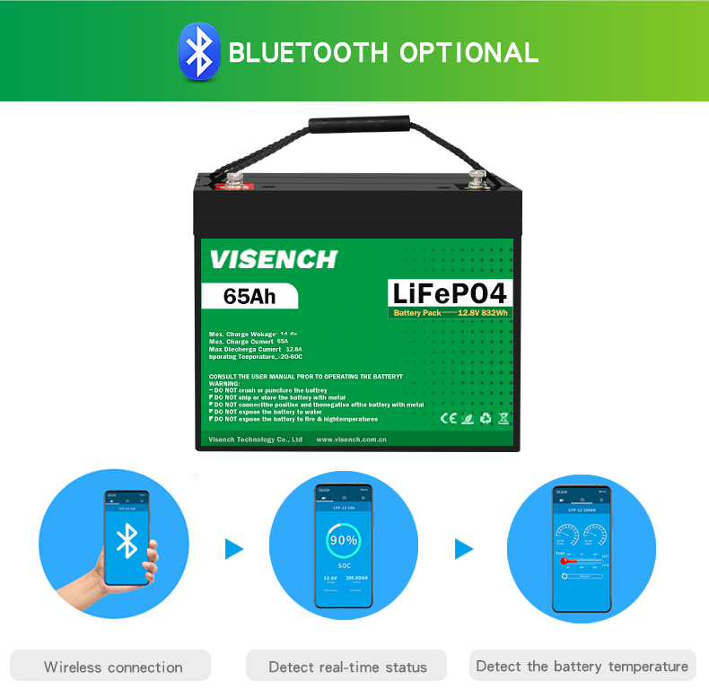 Visench Litium Batterie Li Ion Lithium Lifepo4 12V 65Ah Solar Energy System Battery
