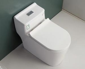 China S Trap One Piece Chair Height Toilet Dual Flush Mix Pit Spacing 220mm on sale