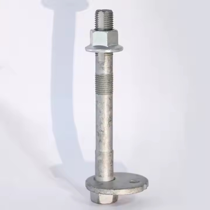 Power Train Camber Adjust Cam Assy 48190-0K010 1253970 1223963 30741284
