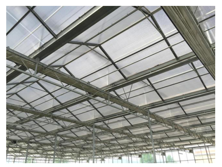 American Tomato Agriculture Polycarbonate Greenhouse Equipped with Hydroponic Systems
