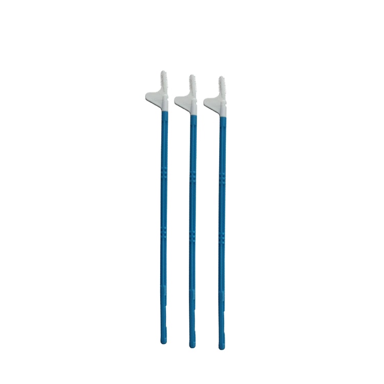 Multiple Specifications Medical/Laboratory PP 15ml 50ml Centrifuge Tube