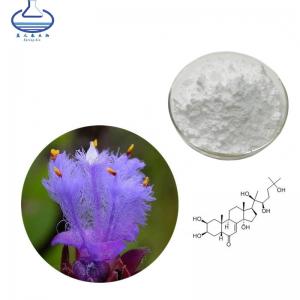 Buy cheap Natural Dew Grass Extract Hydroxyecdysone Powder 98% Ecdysterone product