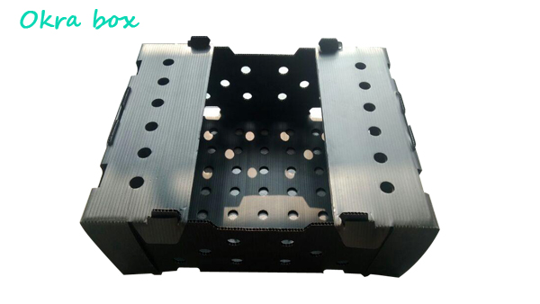 Corn Corflute Box Vegetable Corrugated Boxes Recyclable Custom Size