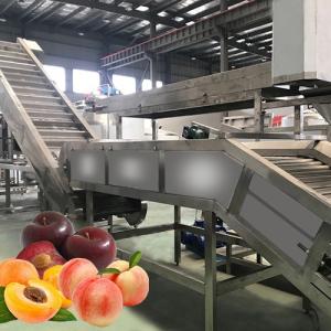 Multiple Use Safety Peach Processing Plant High Extracting Rate 1000 T/Day