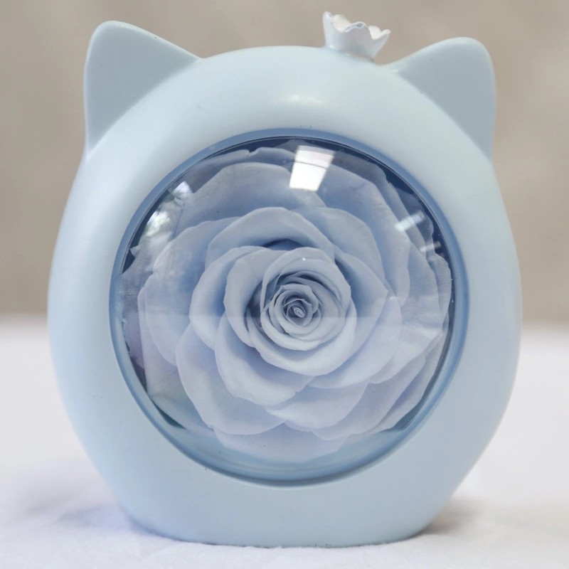 Eternal flower Christmas boutique luminous small gifts hello kitty star lights rose gift