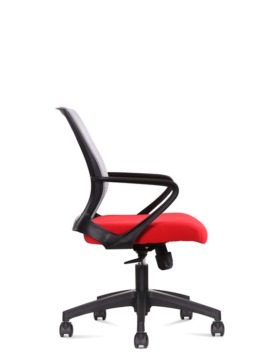 Medium Back Red Ergonomic Mesh Executive Chair, with Lumbar Support put in the office