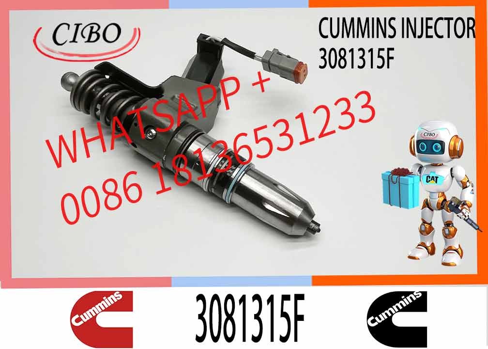 Auto Parts Common Rail Diesel Fuel Injector 3411760 3081315F 3409975 For Cummins QSN14 N14