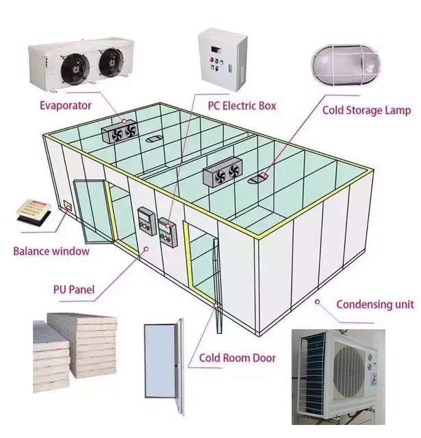 220V Walk In Cooler Freezer Room For Fruit Vegetable One Year Warranty
