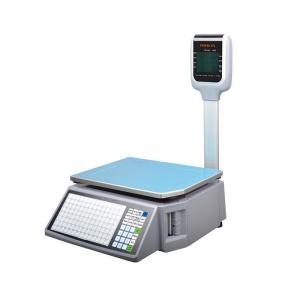 RLS1000D/RLS1100D Digital Computing Printing Scale Easy Operation