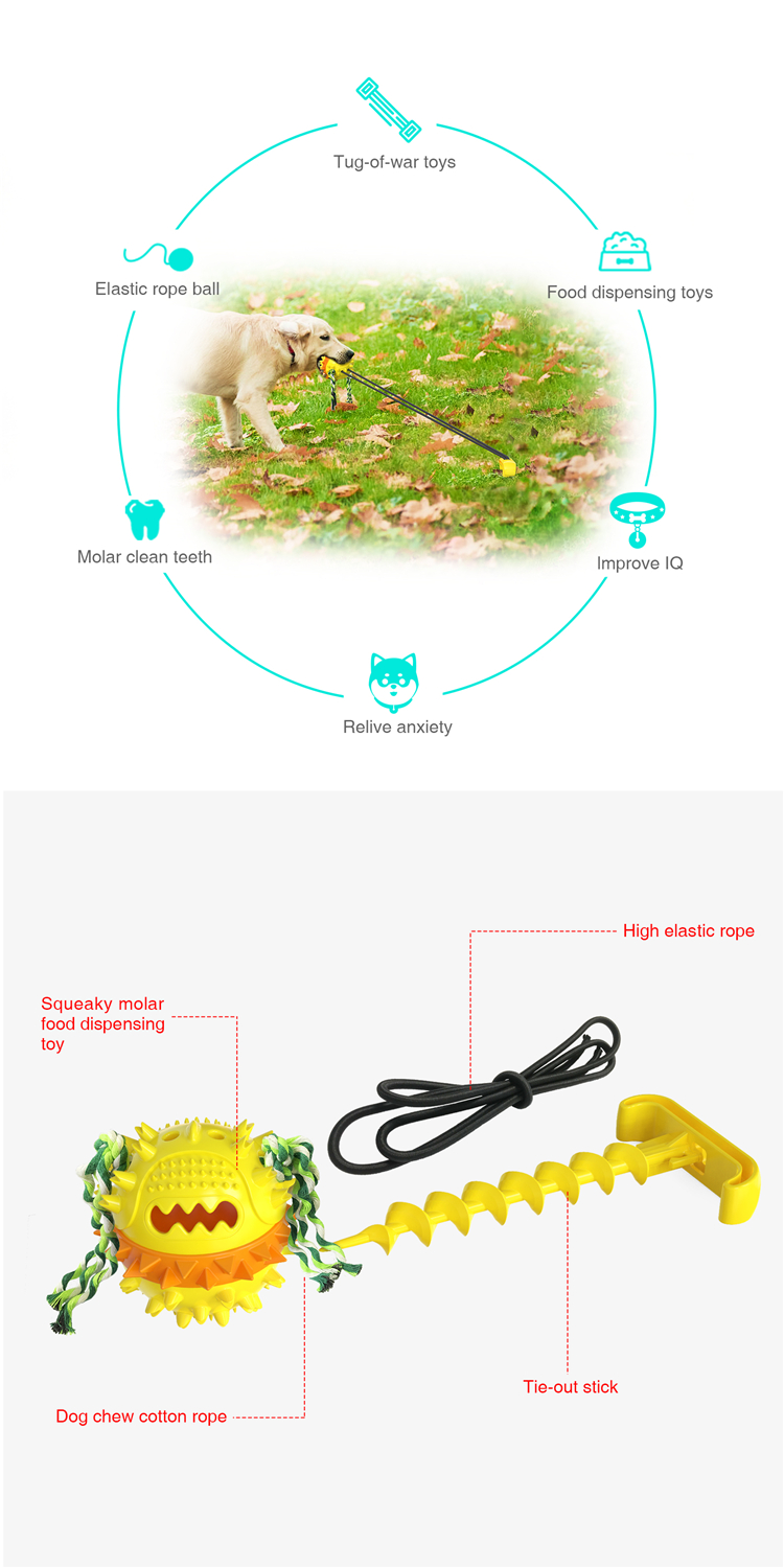 Elastic Plastic Cute Pet Toys Outdoor Water Dog Chewing Ball