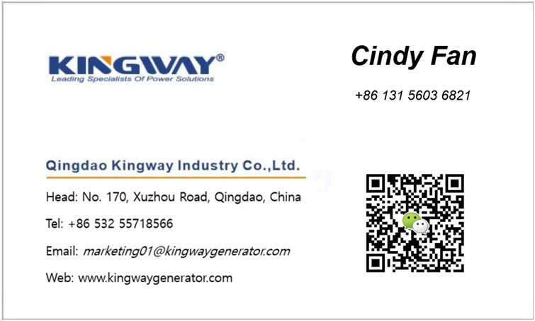 Kingway 100-600 KW Power Resistive Load bank For Generator Testing Customized AC Top Quality load bank With Good Price
