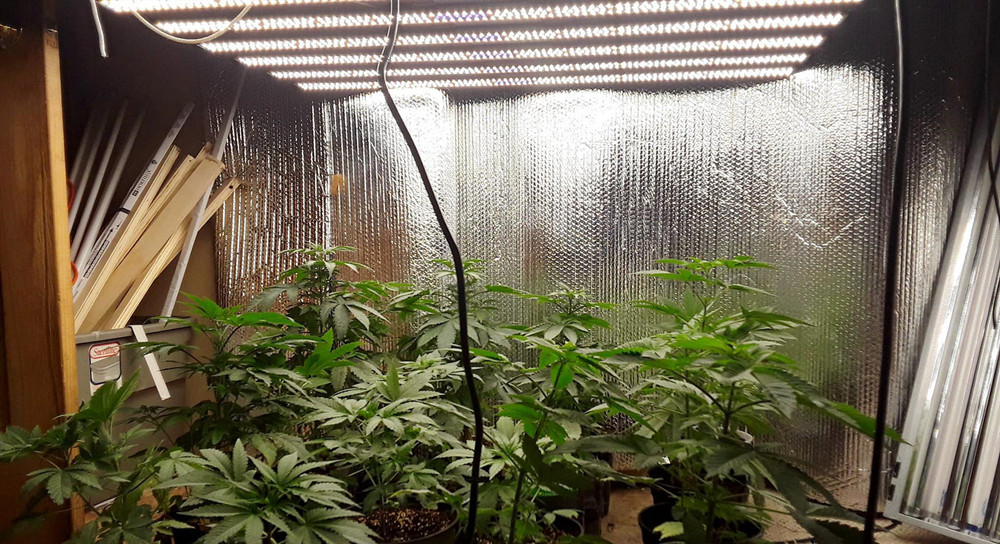 Indoor House Plant Led Herb Grow Light / Growing Weed Led Lights For Grow Room