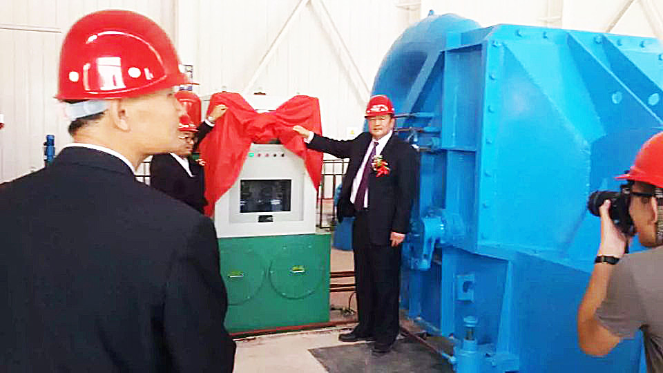 Power Output Pelton Turbine Power Generator Brushless Excitation Mode Insulation Class F