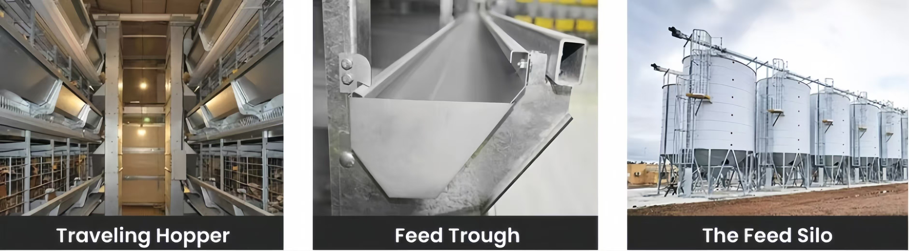 Customized Plastic Broiler Cage Equipment Automatic Poultry Breeding Equipment