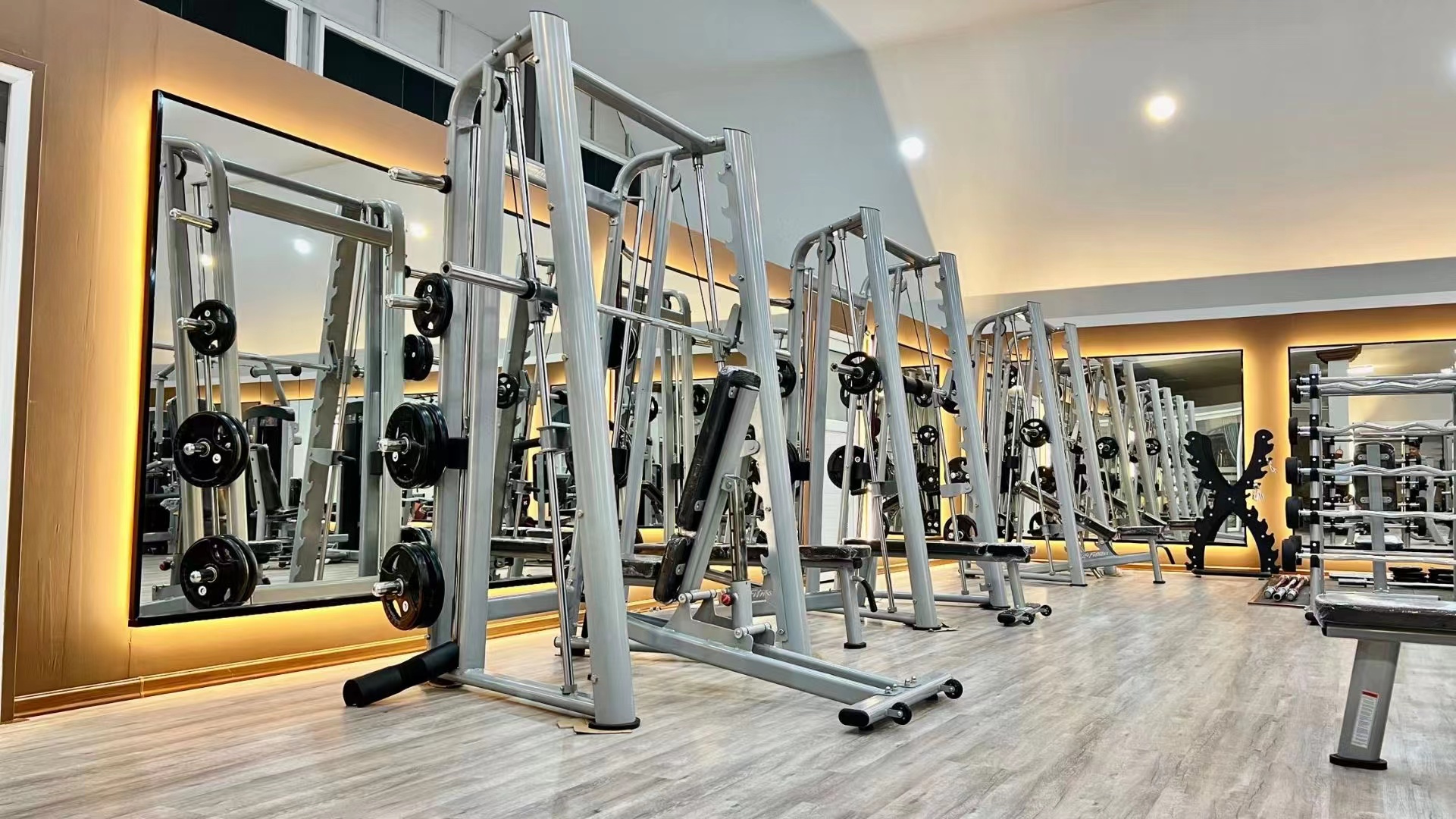 Commercial Gym Unisex Free Weight Training With Diverse Material