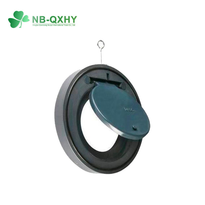 Wholesale Plastic PVC Check Valve UPVC 2 PVC Check Valve 2&quot; to 8&quot; Inch DIN ANSI BSPT Standard Valves Non Return Valves
