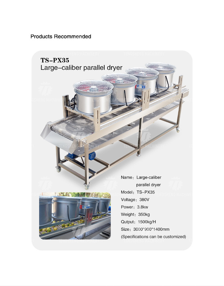 2KW 300KG Manual selection sorting table stainless steel air - drying selection machine is efficient