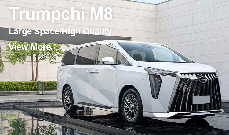 GAC M8 Chinese Fuel Powered Car 5 Door 7 Seater MPV Engine 2.0T