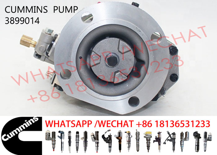 3899014 KTA19 Cummins Injection Pump 3655996 3060949 3419468