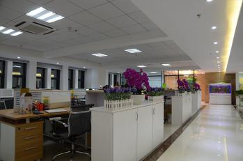 Yiwu Modern Trading Co., Ltd
