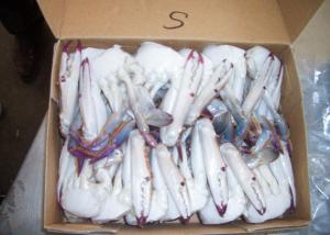 Buy cheap Portunus Crab Blue Swimming Crab , Half Cutted  Sea Crab Iso Brc Certification product