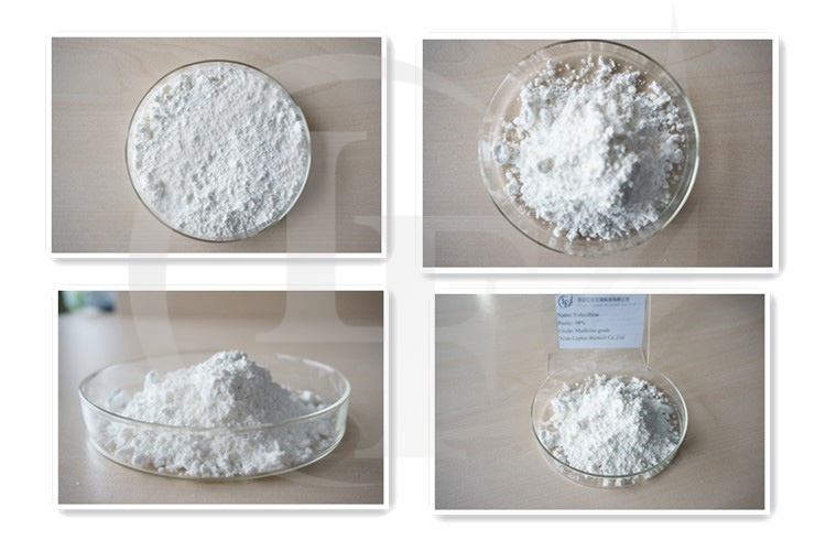 GMP Factory Supply Pure Yohimbine HCL Powder
