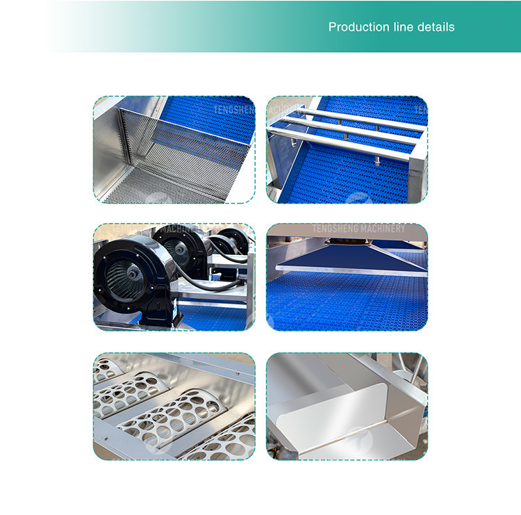 Drying Sorting Circulating Surfing Fruit And Vegetable Processing Line Apple Tengsheng