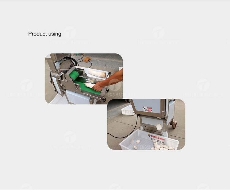 Dicing Strips Brussels Sprouts Mushroom Slicing Machine Fungus Commercial Kitchen
