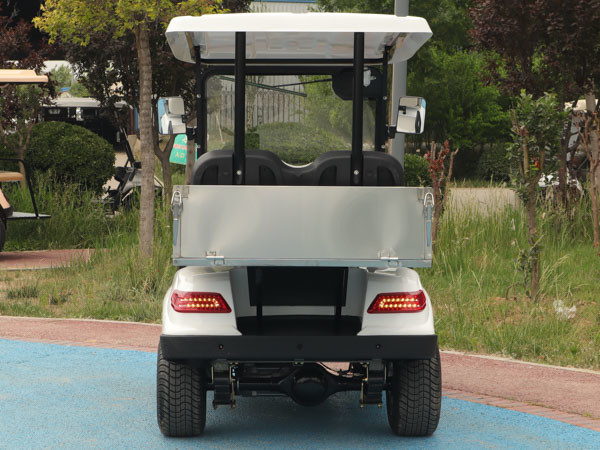 Customized Utility Electric Cargo Golf Cart 60V 48 volt