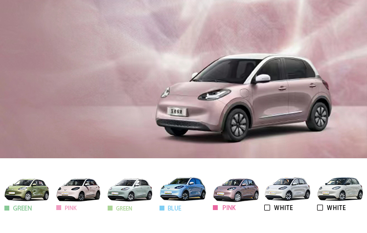 Wuling Motors 2024 Energy Vehicle Prices for Left Steering Lithium Ion Battery SUV