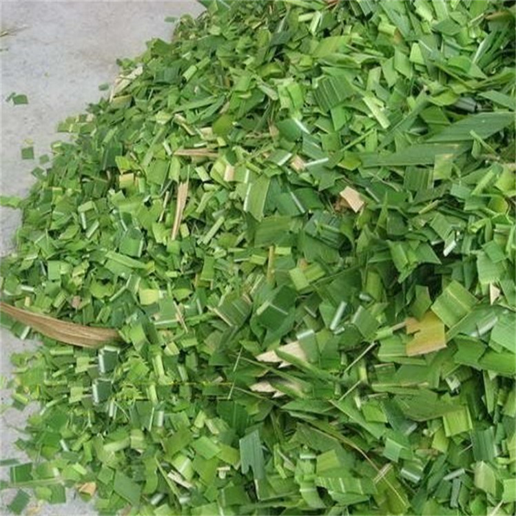 chaff cutter