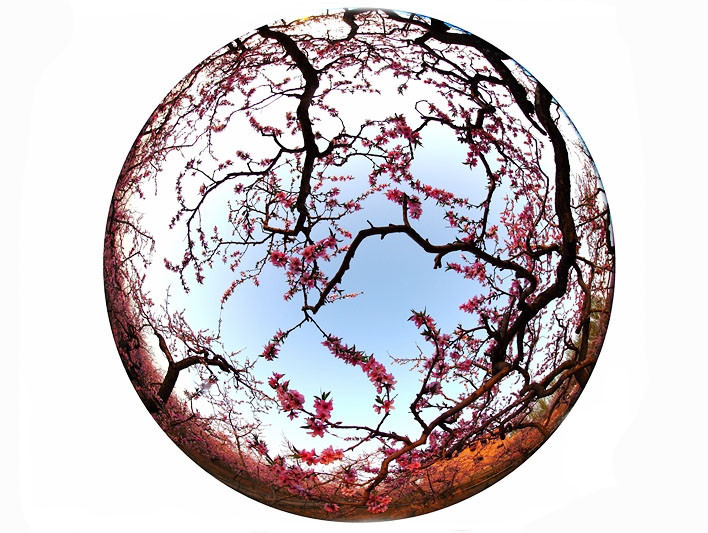 Professional 0.25X Fisheye Phone Camera Lens Aluminum Optical Glass Material