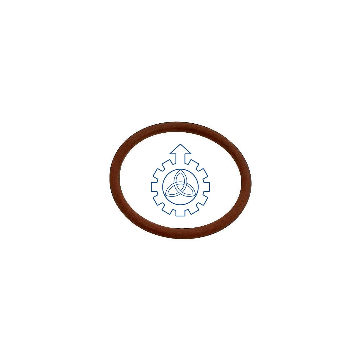 O-ring 17278581