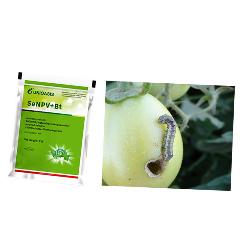 Microbial Insecticide Bio Bacillus Thuringiensis SeNPV Nuclear Polyhedrosis Virus