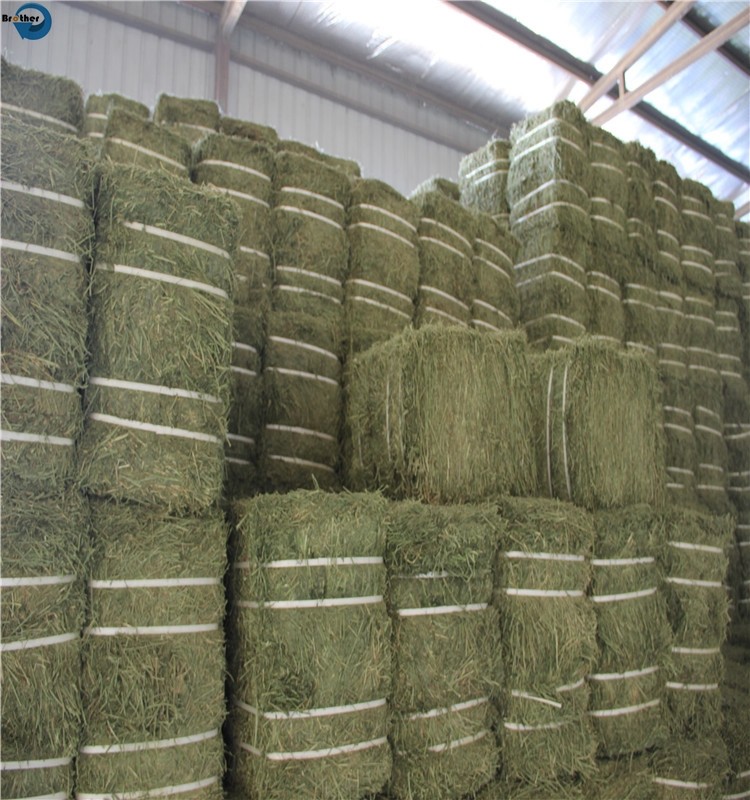 Factory Wholesale Polypropylene Rope Manufacturers PP Twine For Baling