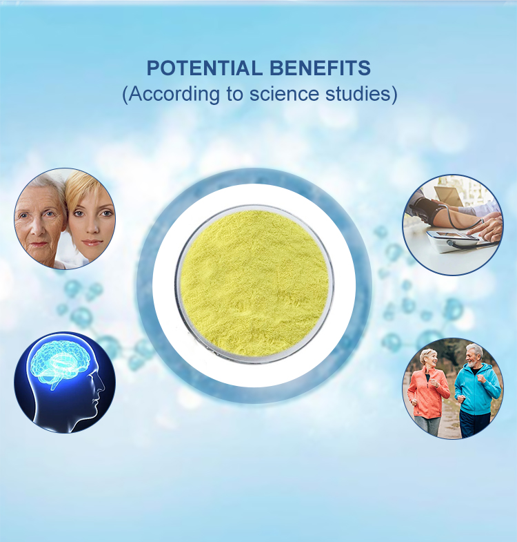 99% Purity Quercetin Bulk Supplements From Sophora Japonica Extract For Natural Ingredients
