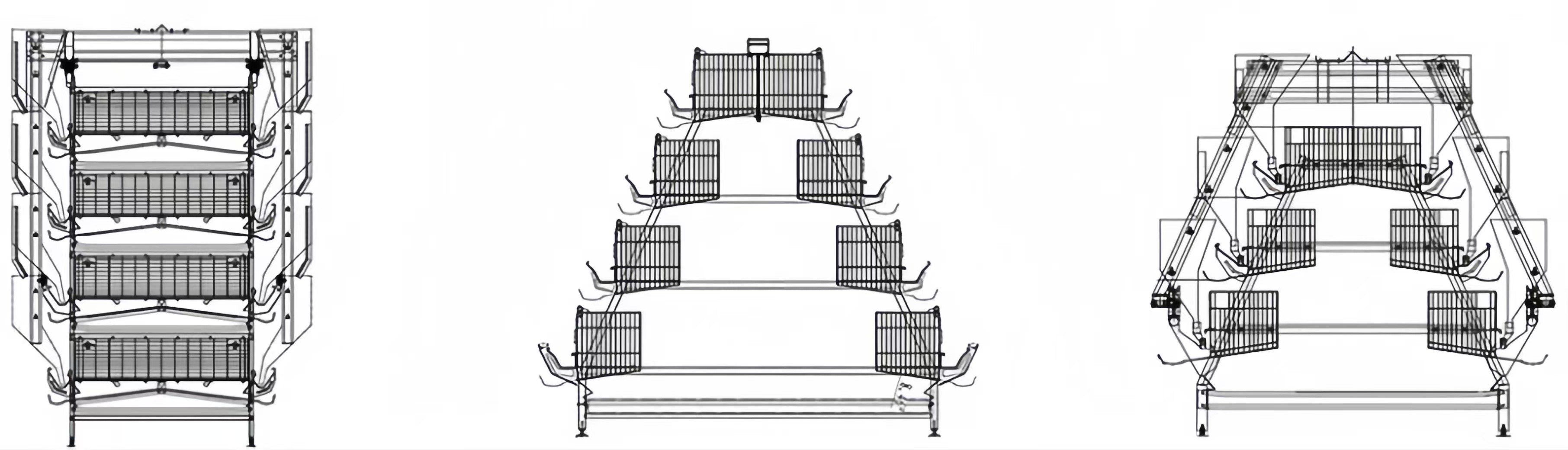 Easy Install Prefabricated Steel Frame Houses Fully Automated Chicken Farming Equipment