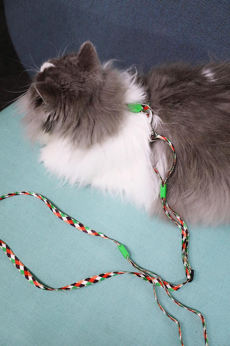 Small Cat Walking Harness And Leash Travel Use