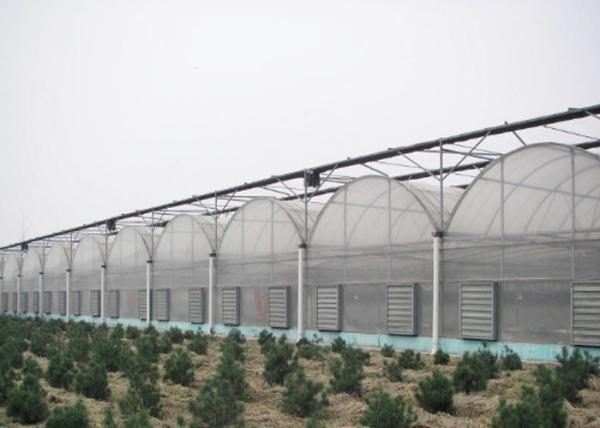 Multipurpose Plastic Cover Greenhouse For Vegetable Tomato Strawberry Pepper