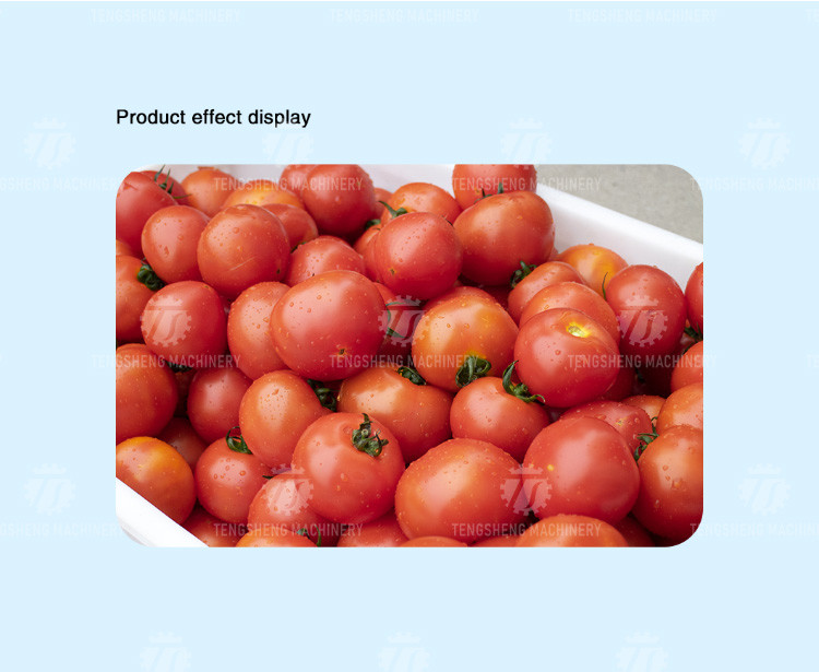 2.5KW Potato flat roller cleaning equipment seafood cleaning machine potato cleaning machine equipment