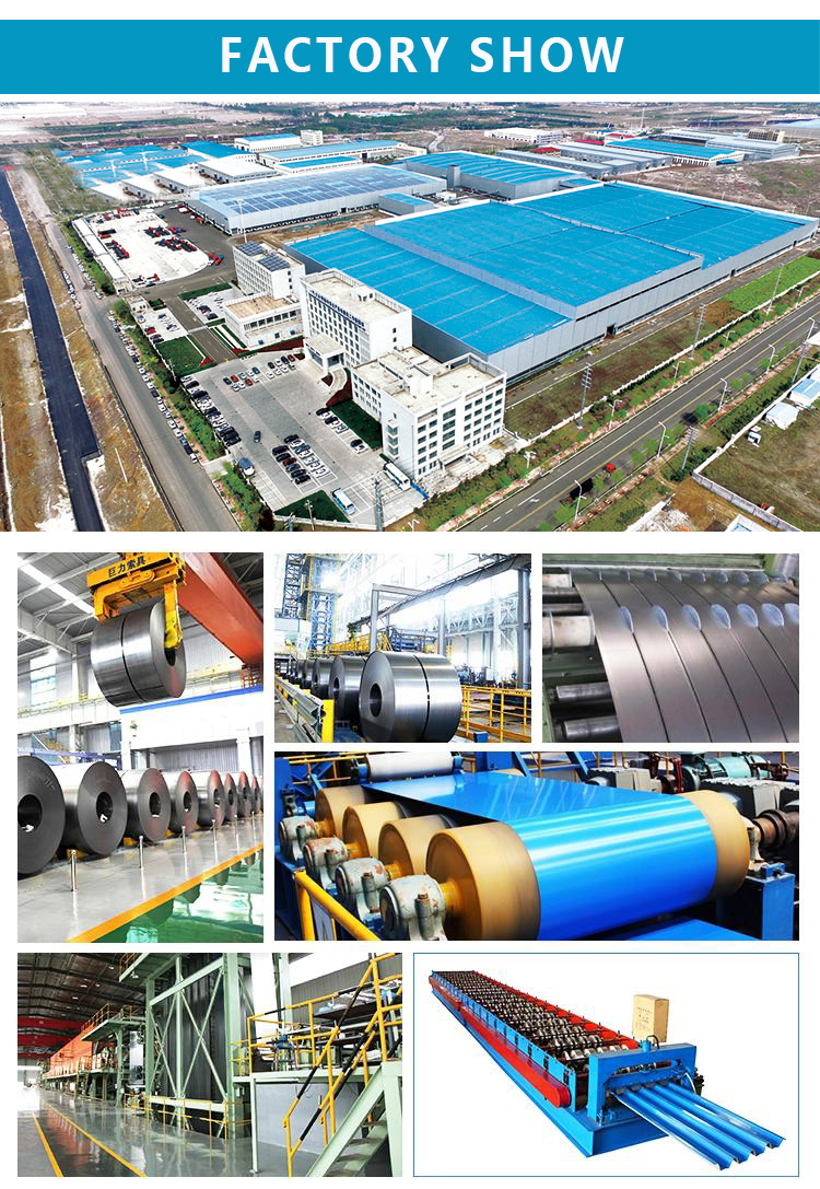 Hot Rolled Oiled Galvanized Steel Sheet Coil Zinc Coating 30-275g M2 Thickness 2mm